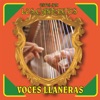 Estos Son los Cantantes: Voces Llaneras, 2014