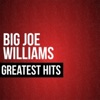Big Joe Williams Greatest Hits
