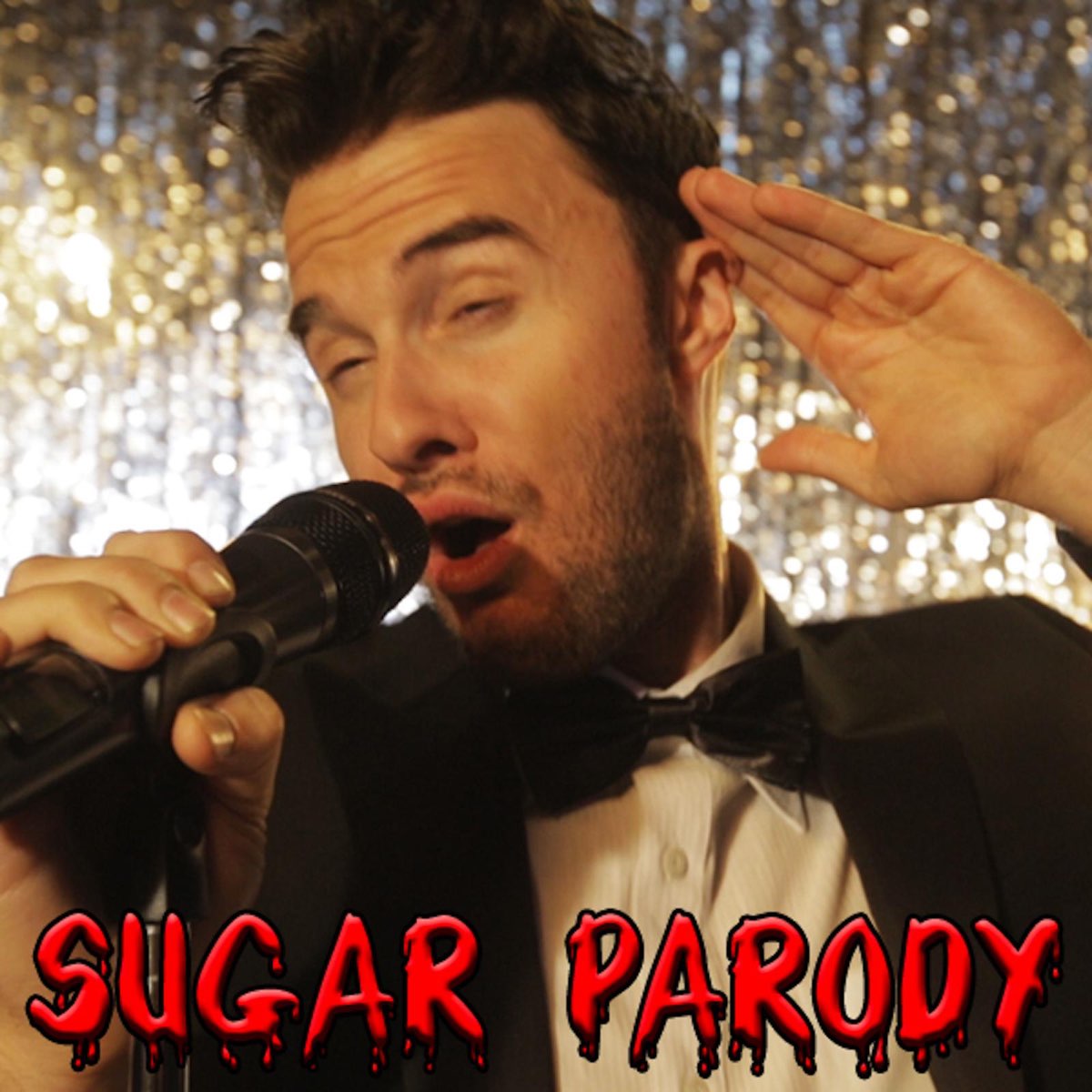 Песня пародия группа. Bart Baker Parody. Пародия Sugar. Maroon 5 Sugar. Bart Baker зеленоглазый пародист.
