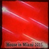 House in Miami 2015 (40 Top Songs for DJs)