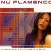 Nu Flamenco