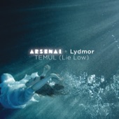 Temul (Lie Low) [feat. Lydmor] artwork