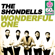 Wonderful One (Remastered) - The Shondells