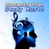Concentration Study Music - The Best Therapy Music that Makes You Smarter, Brain Stimulation Gray Matters, Exam Study & Study Music to Increase Brain Power album lyrics, reviews, download