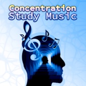 Concentration Study Music - The Best Therapy Music that Makes You Smarter, Brain Stimulation Gray Matters, Exam Study & Study Music to Increase Brain Power artwork
