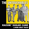 Raisin' Sugar Cane & More Great Tracks, 2014