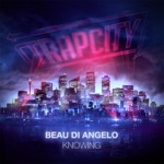 Beau Di Angelo - Knowing