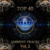 Top 40 Ambient Tracks, Vol. 2