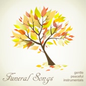 Funeral Songs - Gentle Peaceful Instrumentals artwork