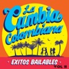 La Cumbia Colombiana. Éxitos Bailables. Vol. II