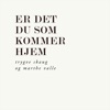 Er det du som kommer hjem (feat. Marthe Valle) - Single