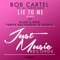 Lie to Me (Oldfix Remix) [feat. Ai Takekawa] - Bob Cartel lyrics