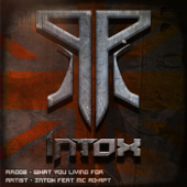 What You Living for (feat. MC Ad-Apt) - DJ Intox