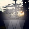 Wake Me up Tunes, Vol. 1 (Collection of Fantastic Ambient & Chill out Tunes), 2014