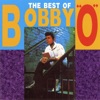 Bobby O - I'm so Hot for You