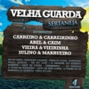 Velha Guarda Sertaneja, Vol. 4, 2014