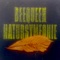 The Really Big Shew - Beequeen lyrics