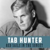Tab Hunter - Red Sails in the Sunset