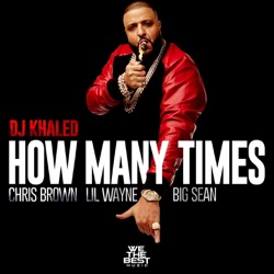 DJ Khaled - How Many Times (feat. Big Sean, Chris Brown and Lil Wayne)