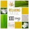Sleep Music Lullabies - Relaxing Mindfulness Meditation Relaxation Maestro lyrics