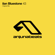 43 - Ilan Bluestone