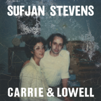 Sufjan Stevens - Carrie & Lowell artwork