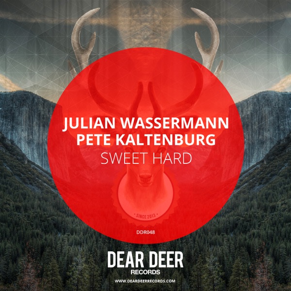 Julian Wassermann - Just a Dream