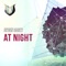 At Night (Rafael Osmo Remix) - Ayden Casey lyrics