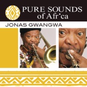 Pure Sounds of Africa artwork