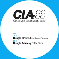 Resized / 13th Floor - Single by Bungle & Marky album reviews, ratings, credits