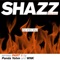 So into You (feat. Nancy Danino) [WNK Dub Remix] - Shazz lyrics