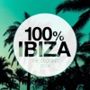 100% Ibiza - The Closing 2014