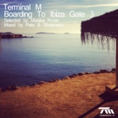 Terminal M - Boarding to Ibiza Gate 3 (Selected By Monika Kruse & Mixed By Pele & Shawnecy) artwork