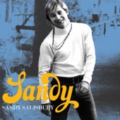 Sandy Salisbury - I Just Don't Know How to Say Goodbye