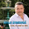 Gelu Boerică - Mă bate vântu’ mă bate