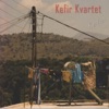 Kefir Kvartet - Drømte mig en drøm
