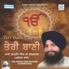 Teri Baani