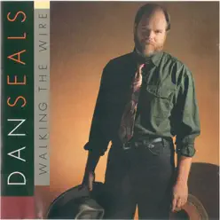 Walking the Wire - Dan Seals