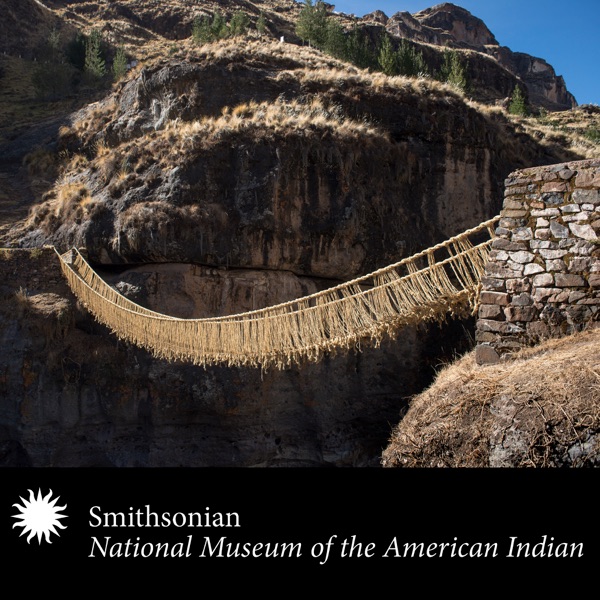 Engineering the Inka Empire cover