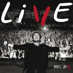 Live 2014 - Patrick Bruel