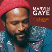 Marvin Gaye - A Funky Space Reincarnation