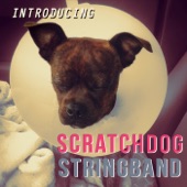 Scratchdog Stringband - Crazy Ways