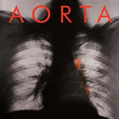 Aorta - Aorta Aorta - Aorta