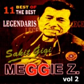 Best of the Best Meggie Z, Vol. 2 artwork