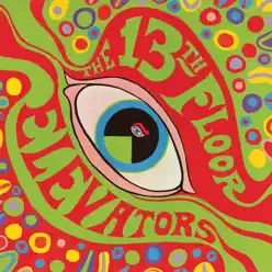 The Psychedelic Sounds of the 13th Floor Elevators (2008 Remaster) - 13th Floor Elevators