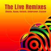 The Live Remixes artwork