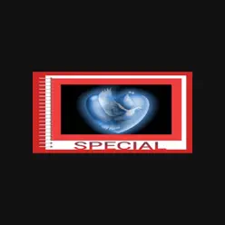 Special - Single - Ham Special - Single - Ham