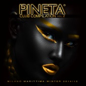 Pineta Club Compilation #2 artwork