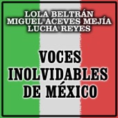 Voces Inolvidables de México artwork