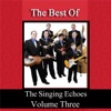 The Best of the Singing Echoes, Vol. 3
